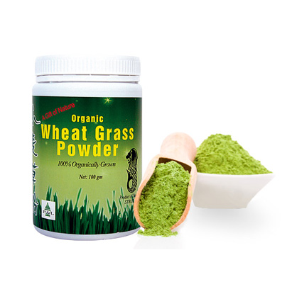 wheatgrass-powder