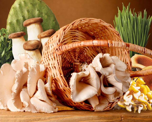 640x515px_freshproduct
