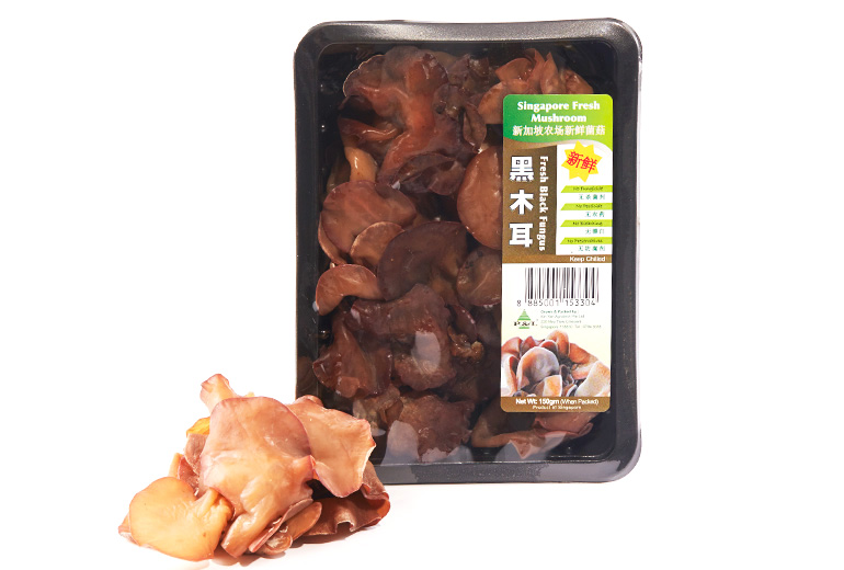 _770x520px_BlackFungus2