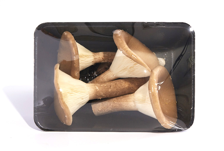 _770x520px_GoldenCupM3