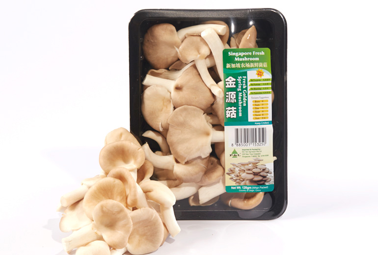 _770x520px_GoldenSpringM1