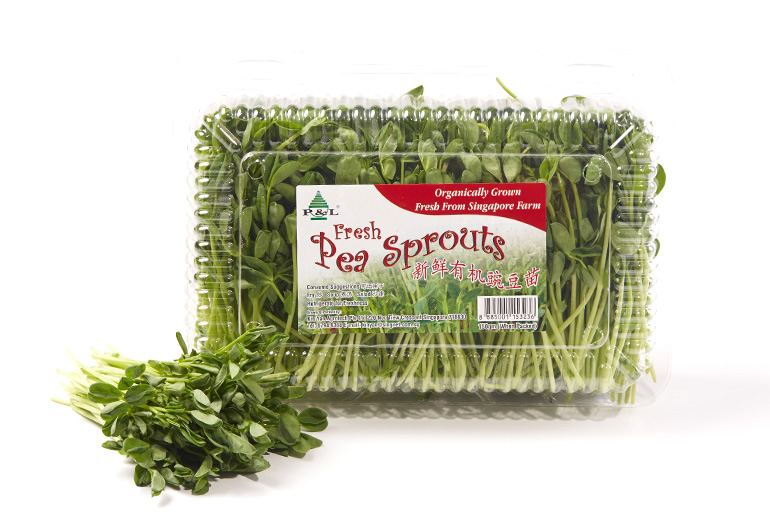 _770x520px_PeaSprout4